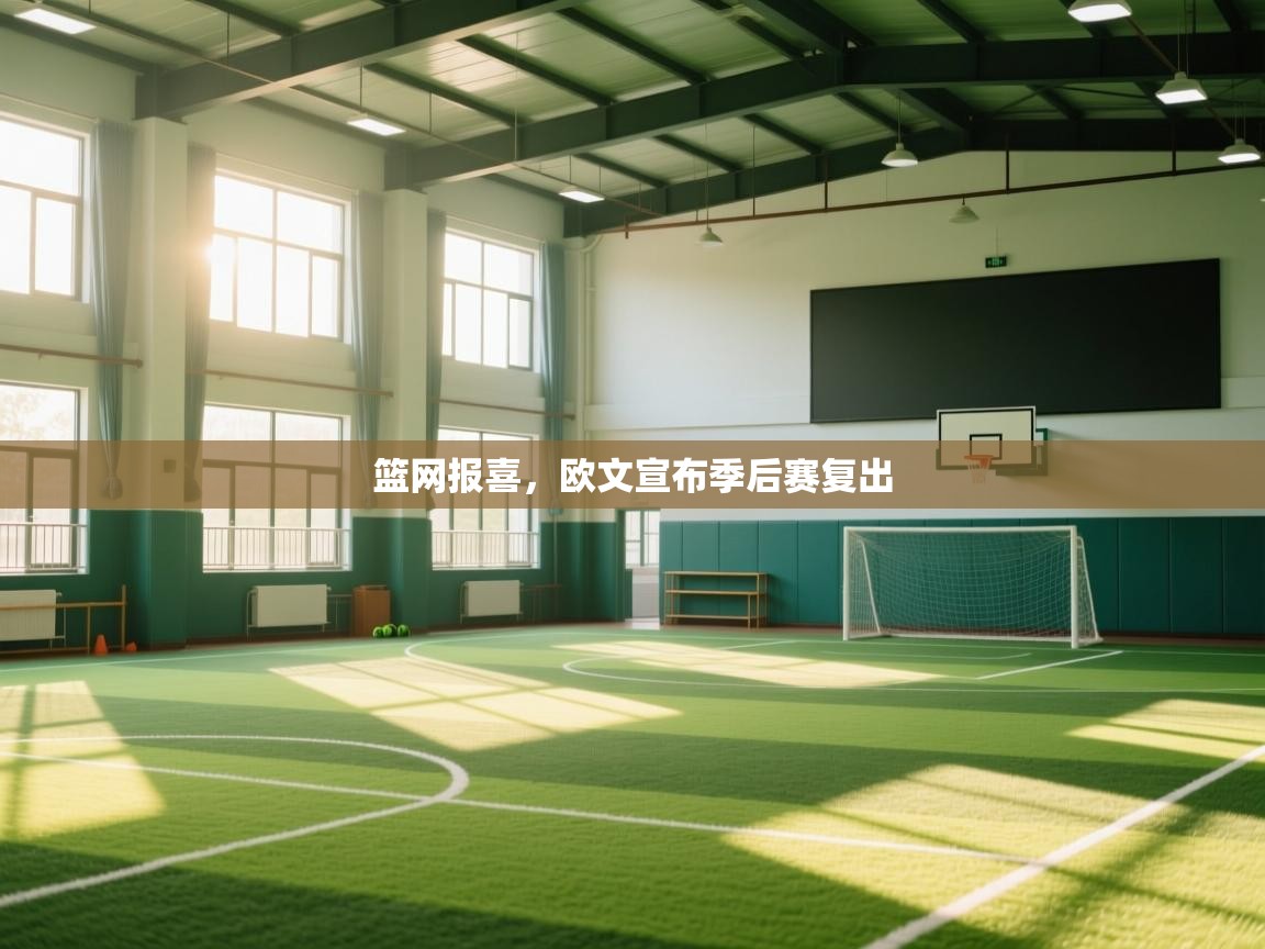 爱体育游戏网站-篮网报喜,欧文宣布季后赛复出 第3张