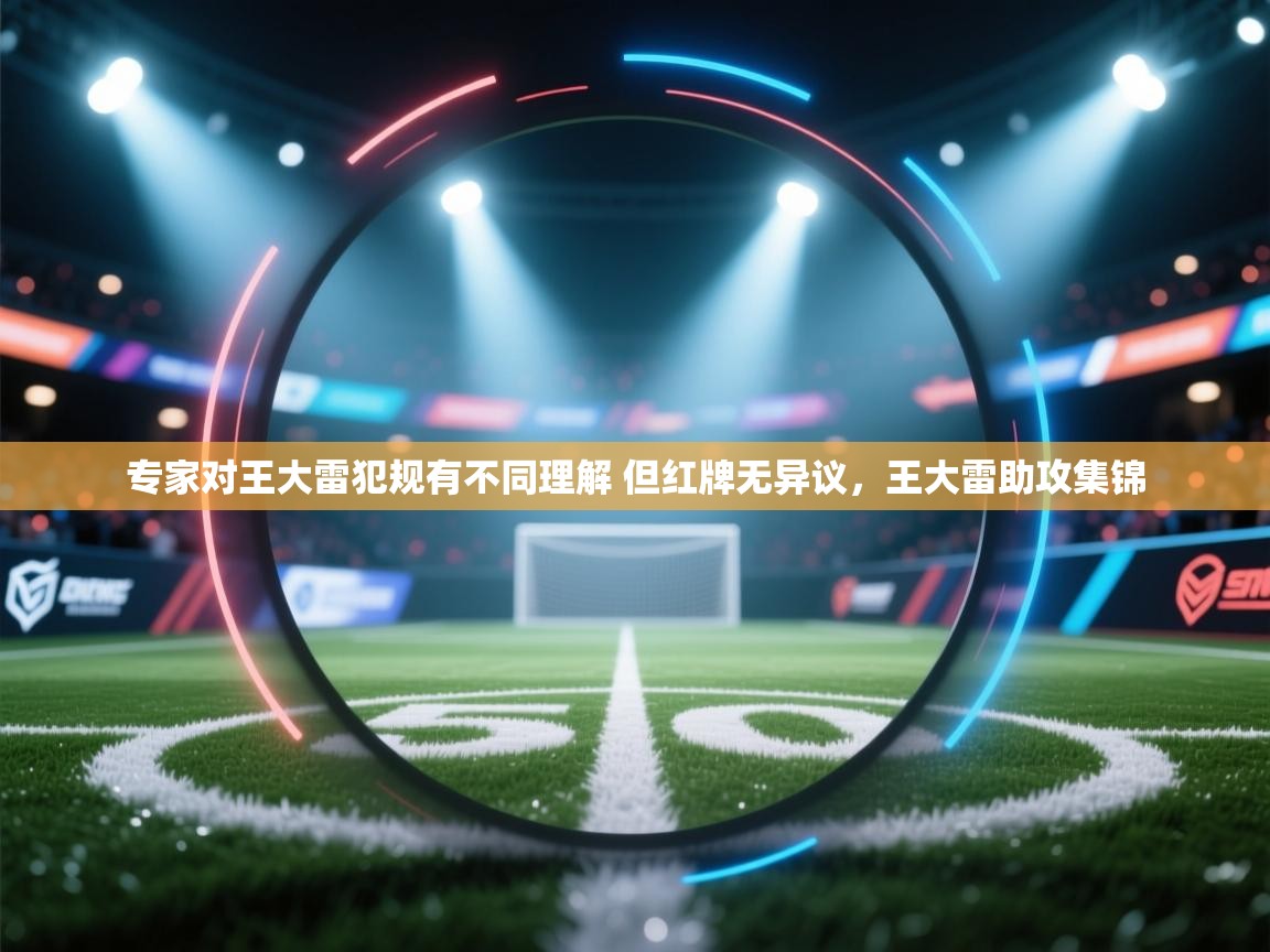 欢娱游戏平台-专家对王大雷犯规有不同理解 但红牌无异议，王大雷助攻集锦  第1张
