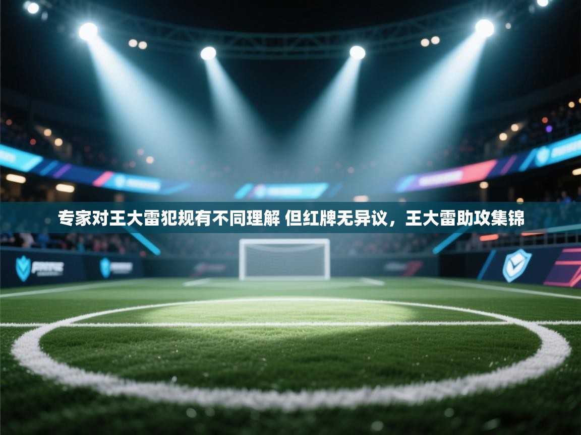 欢娱游戏平台-专家对王大雷犯规有不同理解 但红牌无异议，王大雷助攻集锦  第3张