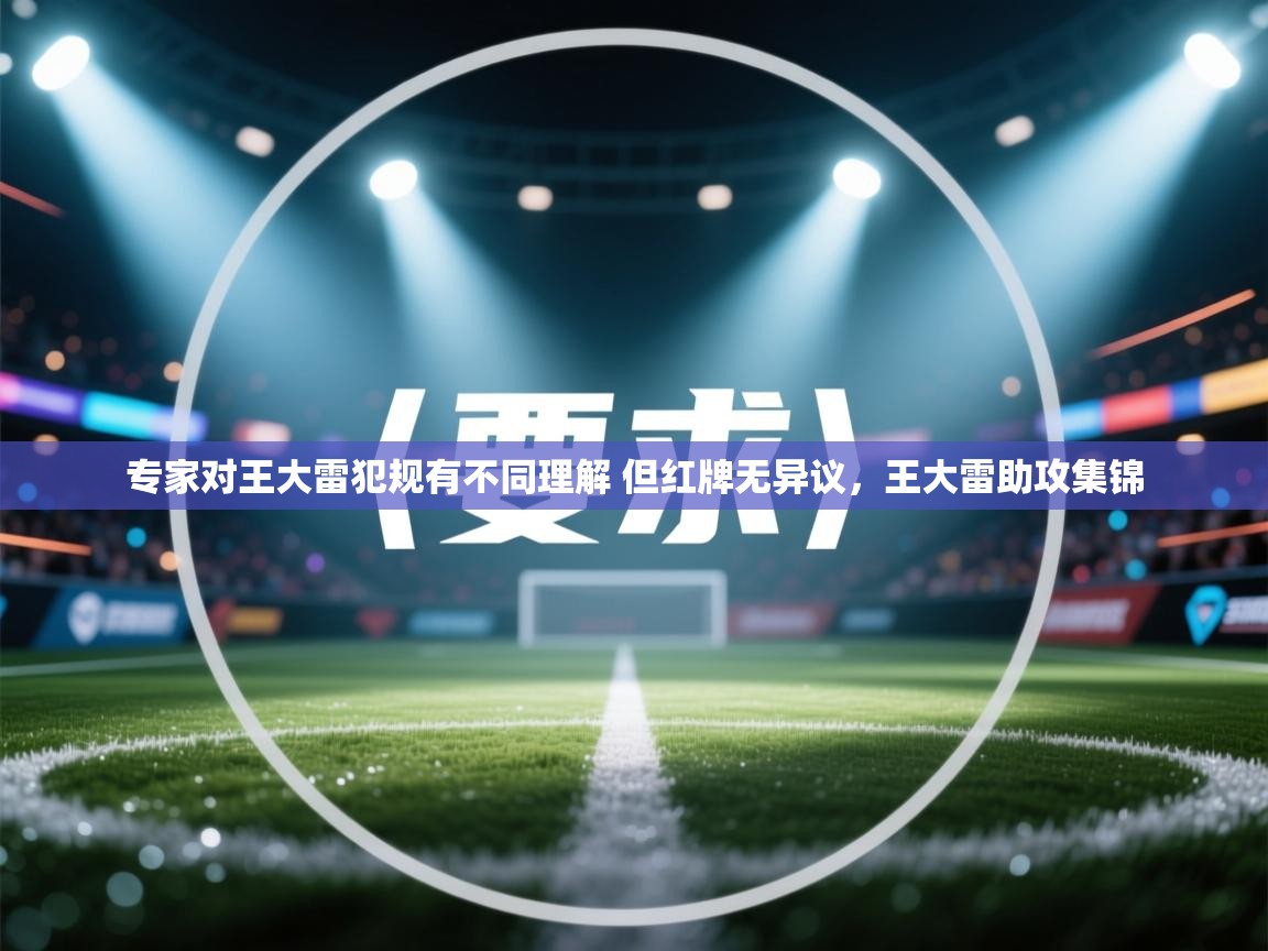 欢娱游戏平台-专家对王大雷犯规有不同理解 但红牌无异议，王大雷助攻集锦  第2张