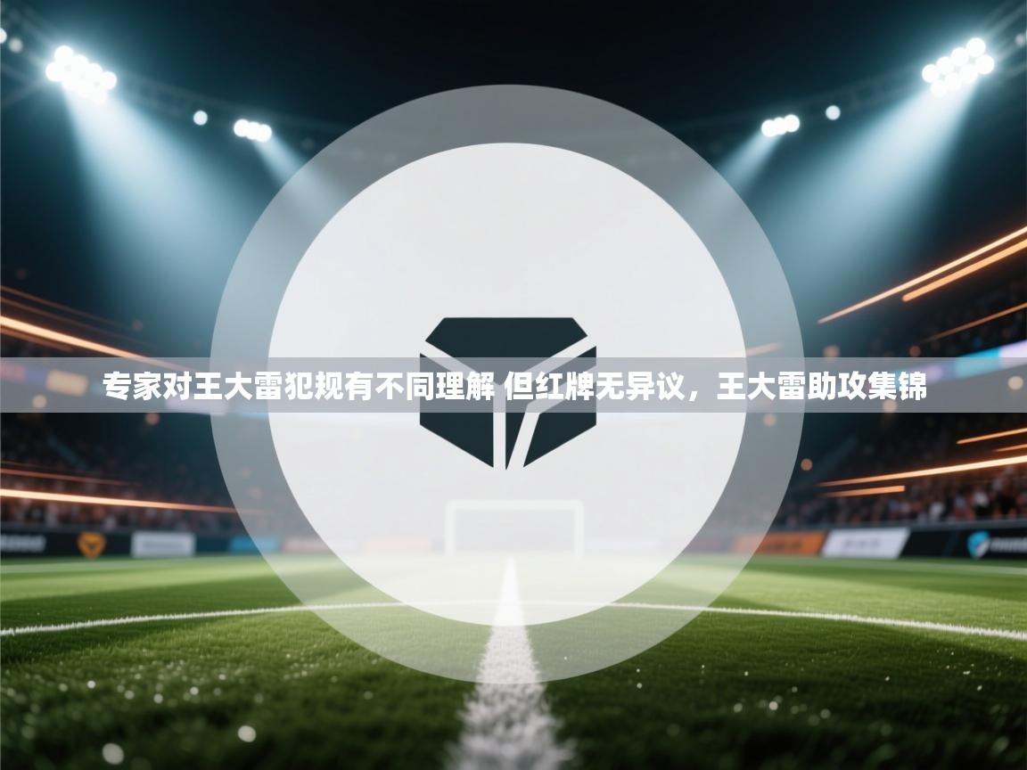 欢娱游戏平台-专家对王大雷犯规有不同理解 但红牌无异议，王大雷助攻集锦  第4张