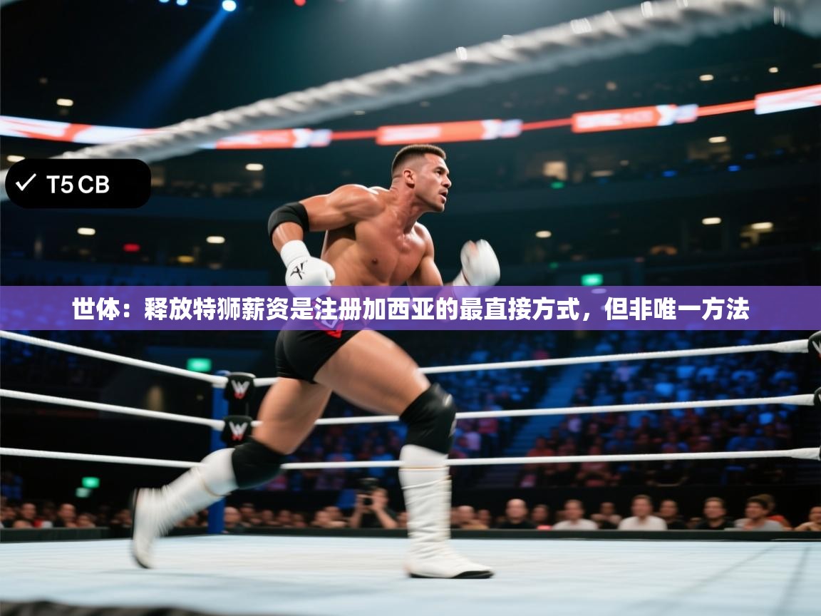 爱游戏娱乐平台-世体:释放特狮薪资是注册加西亚的最直接方式,但非唯一方法 第3张