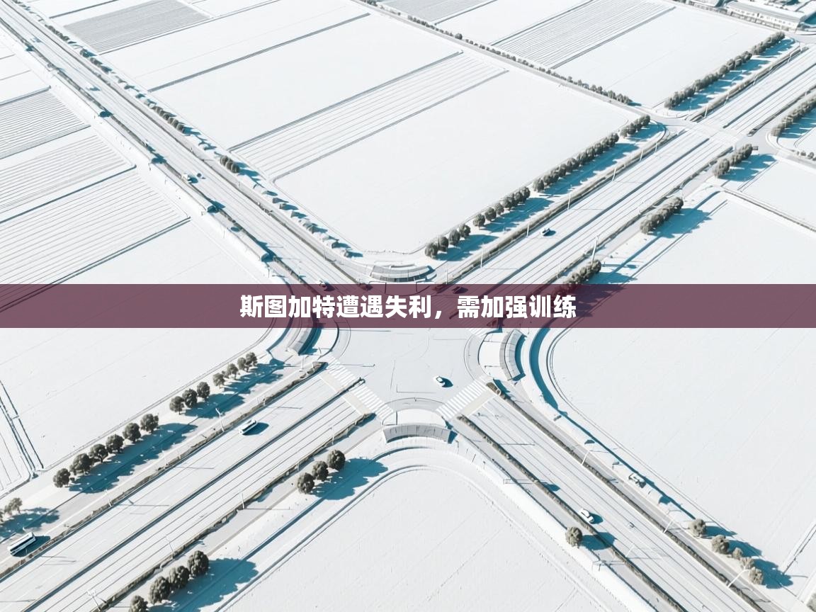 爱游戏体育官网-斯图加特遭遇失利，需加强训练  第2张