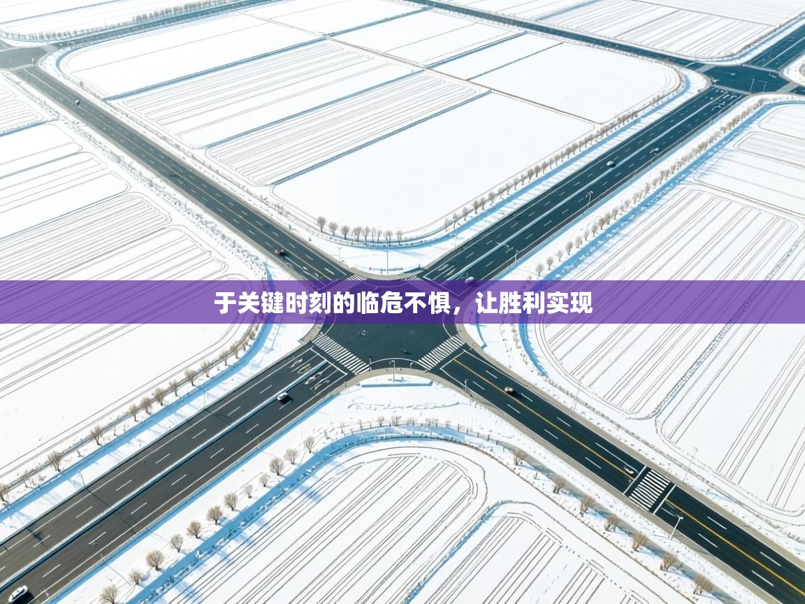 -于关键时刻的临危不惧,让胜利实现 第2张