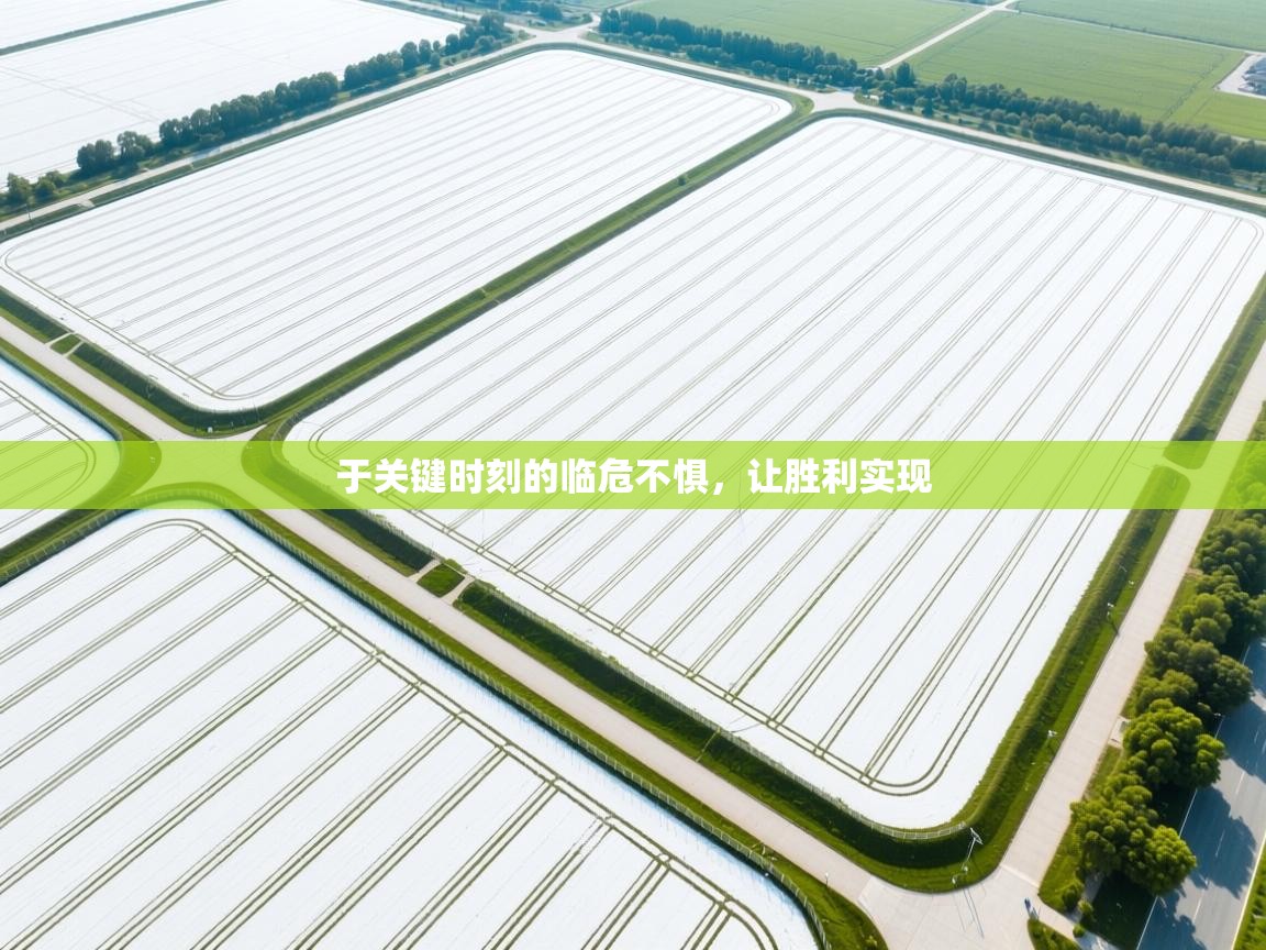 -于关键时刻的临危不惧,让胜利实现 第4张