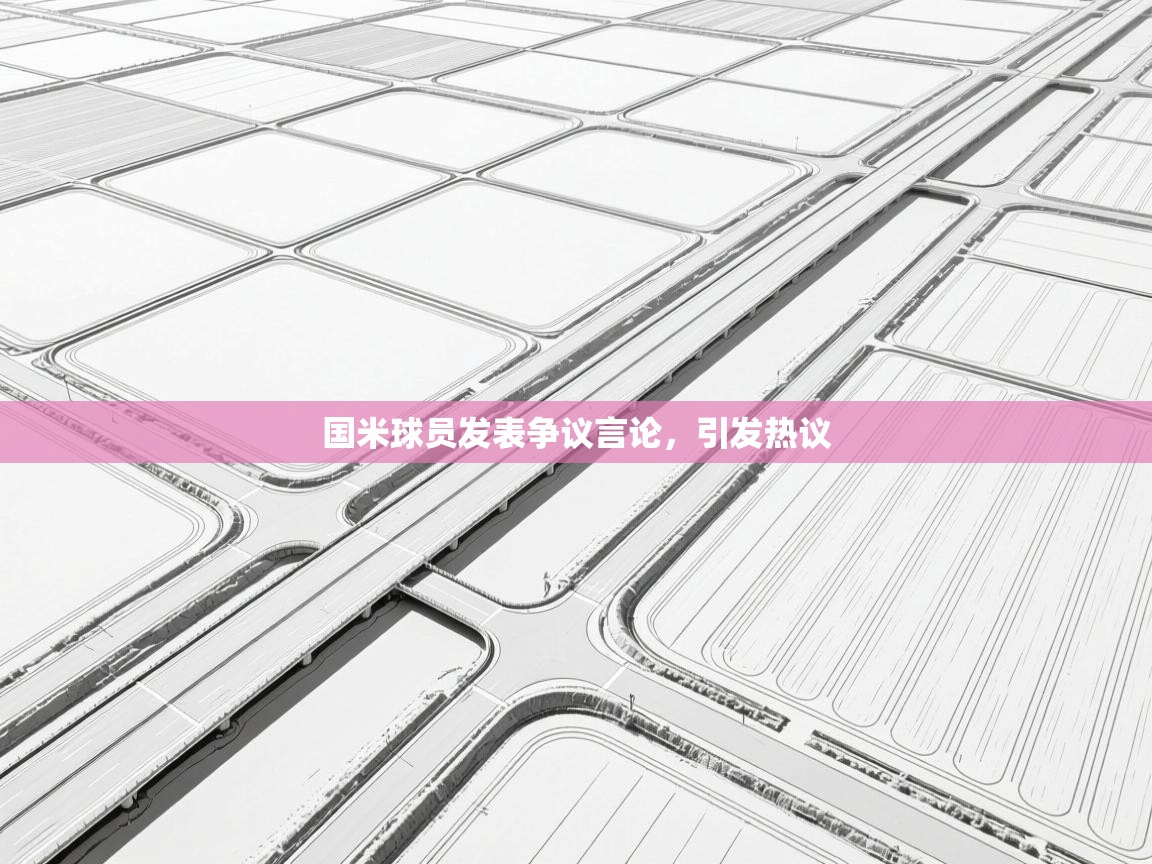 爱游戏娱乐-国米球员发表争议言论，引发热议  第2张