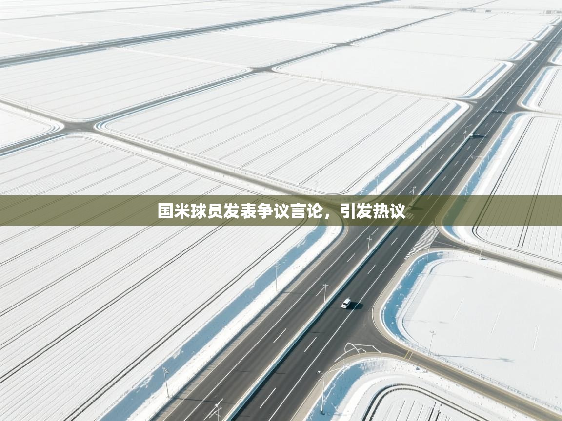 爱游戏娱乐-国米球员发表争议言论，引发热议  第3张