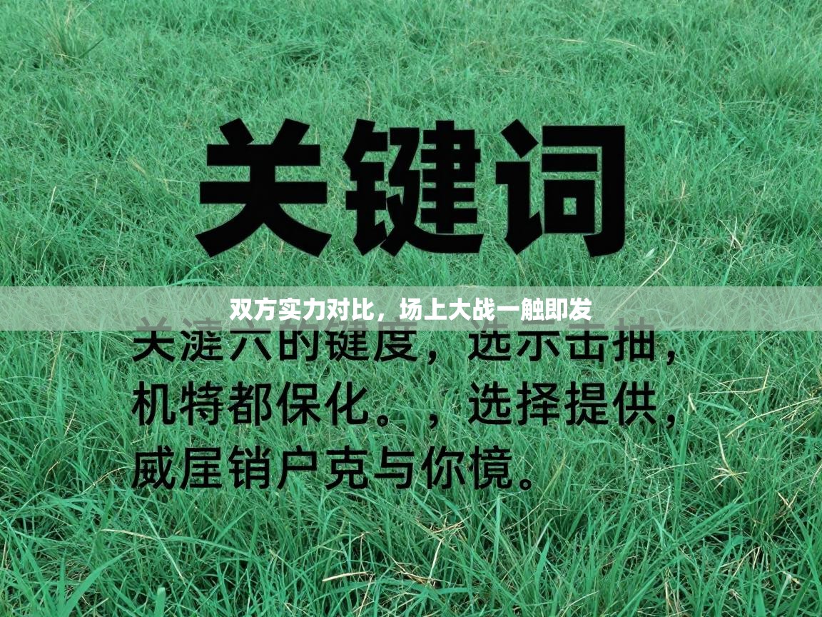 爱游体育直播app-双方实力对比，场上大战一触即发  第4张