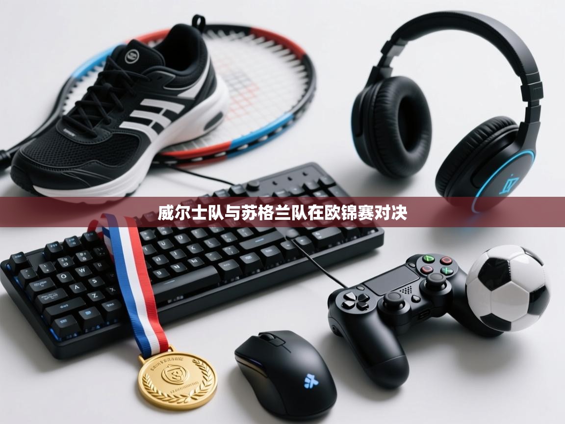 爱游戏平台官网入口-威尔士队与苏格兰队在欧锦赛对决  第3张