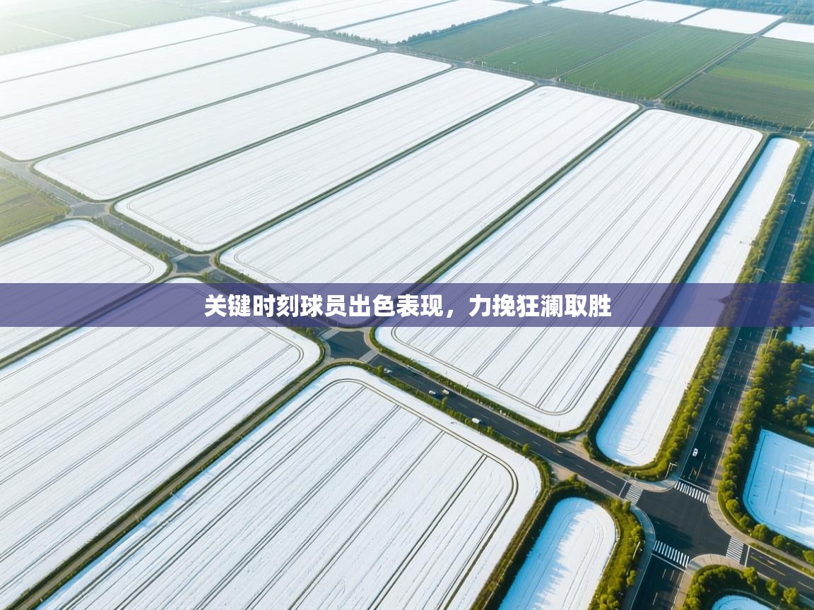 爱游戏体育官网app-关键时刻球员出色表现，力挽狂澜取胜  第2张