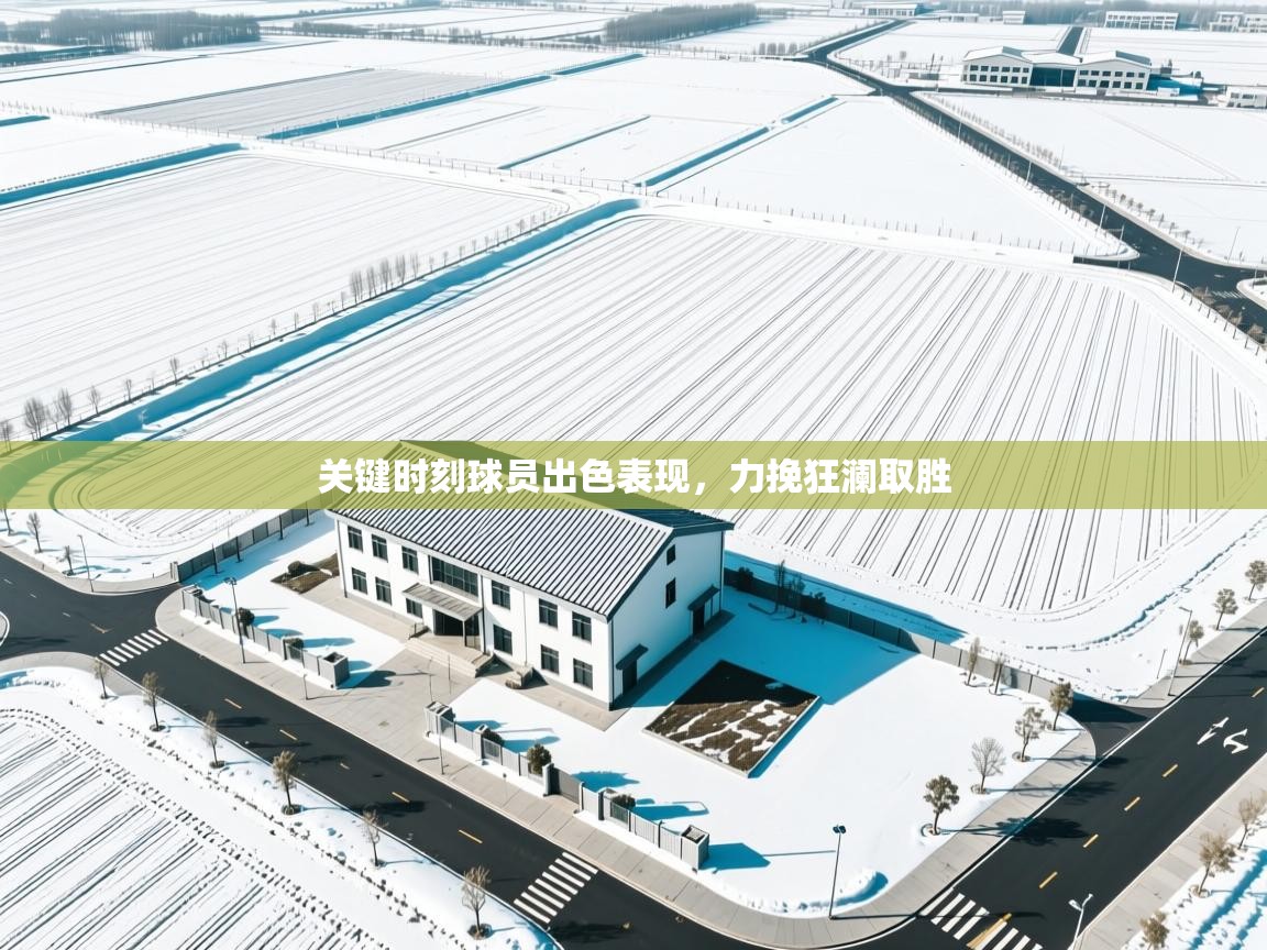 爱游戏体育官网app-关键时刻球员出色表现，力挽狂澜取胜  第3张