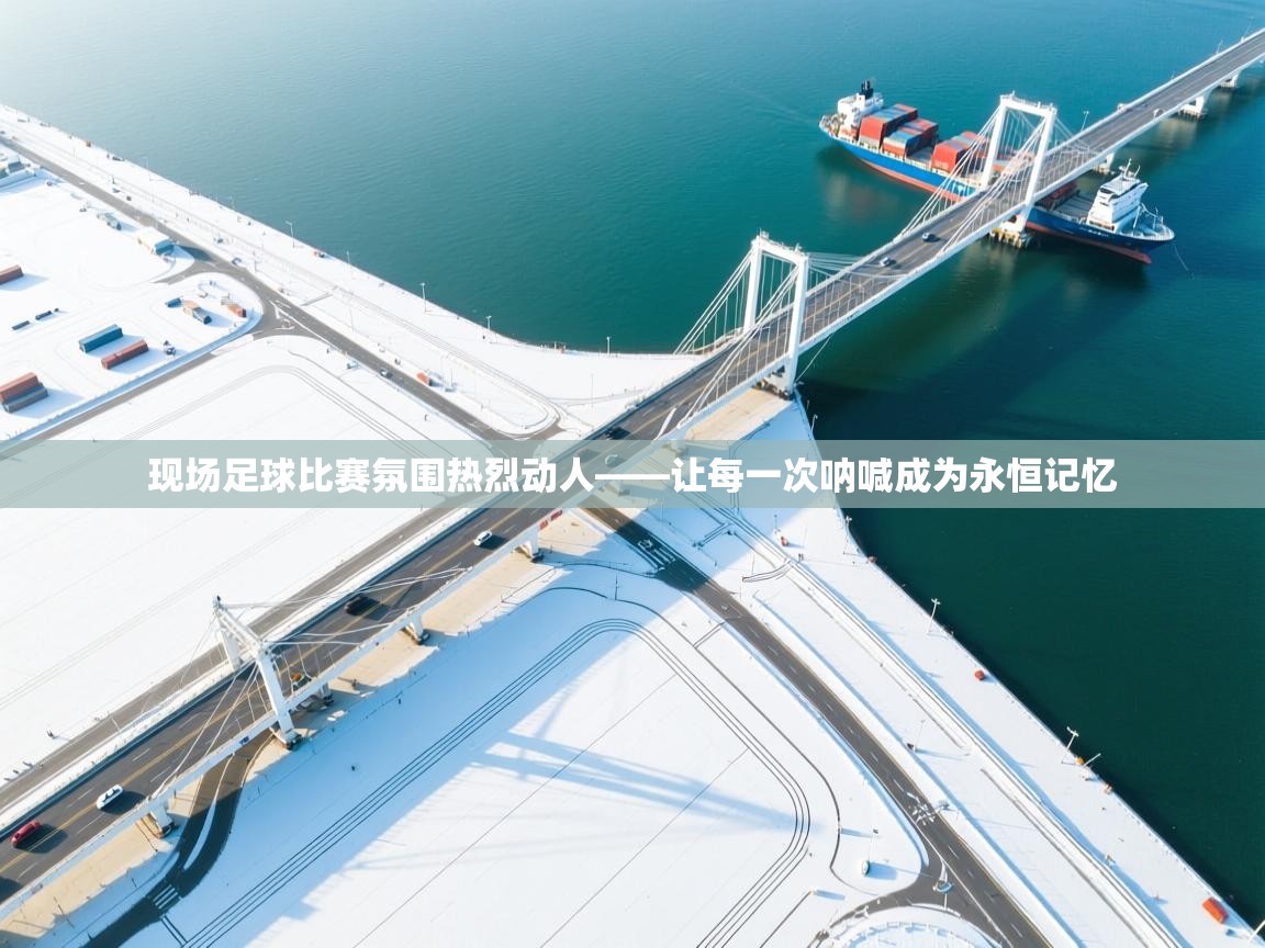 爱游戏体育官网-现场足球比赛氛围热烈动人——让每一次呐喊成为永恒记忆