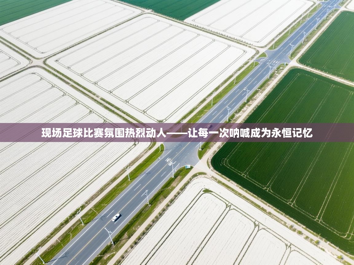 爱游戏体育官网-现场足球比赛氛围热烈动人——让每一次呐喊成为永恒记忆 第2张