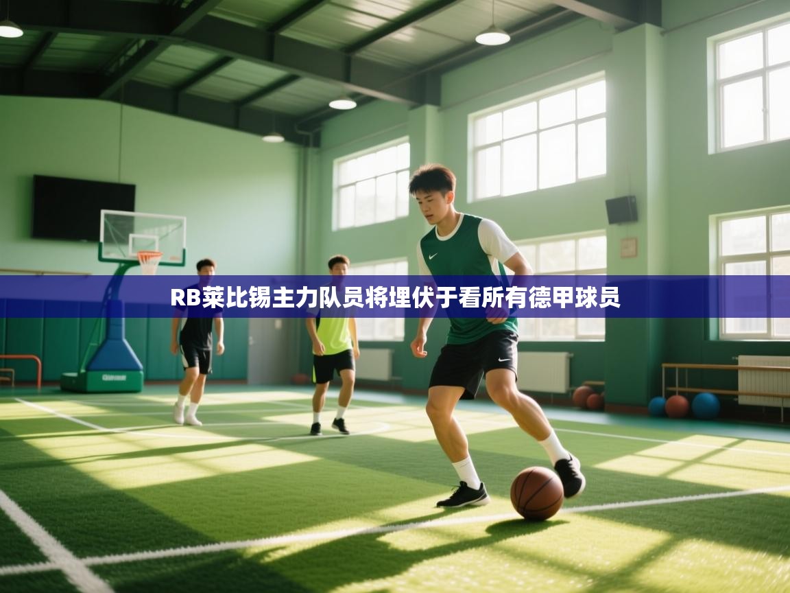 爱游戏体育赛事-RB莱比锡主力队员将埋伏于看所有德甲球员 第2张