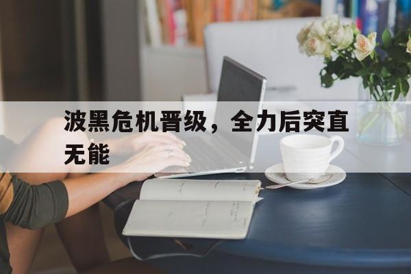 爱游戏体育官方网站-波黑危机晋级，全力后突直无能的简单介绍
